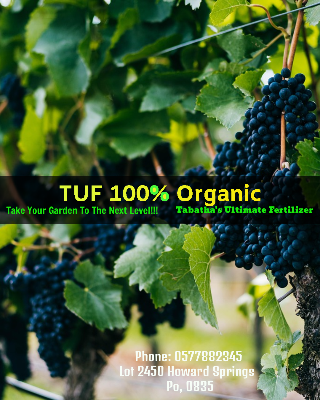 Image of Advertisement